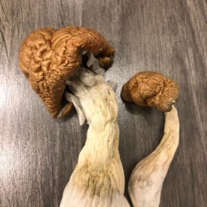where to buy psychedelics mushrooms uk