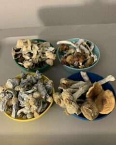 Magic Mushrooms Delivery UK - Buy Magic Shrooms UK