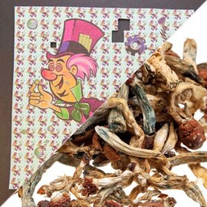 Psychedelica Magic Mushroom, MDMA & LSD for Sale Online in the UK – Fast & Secure Delivery