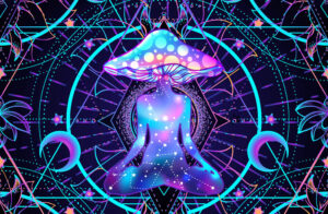 Magic Mushroom Store UK The Ultimate Guide to Buying Shrooms Safely and Discreetly