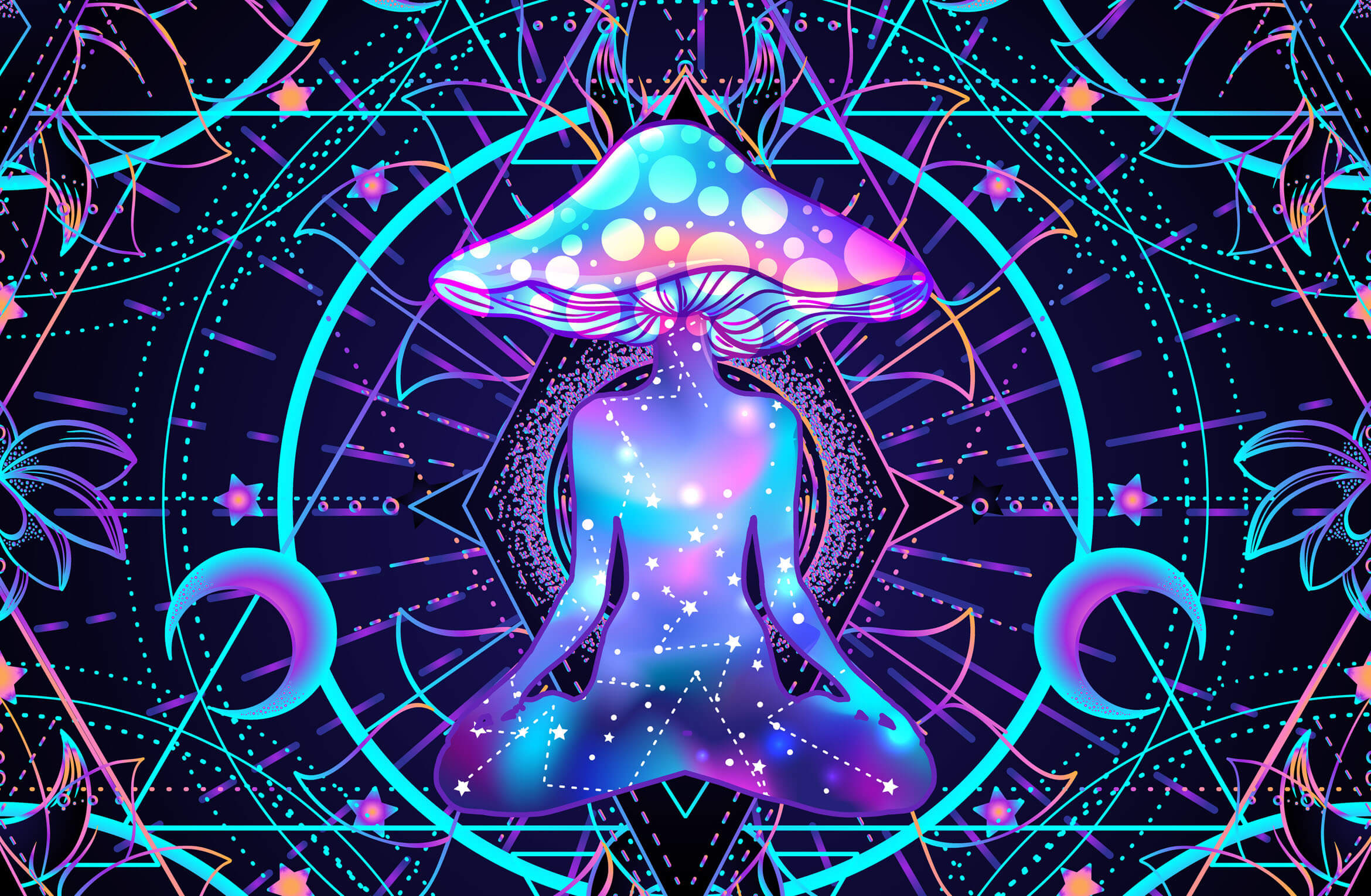 Magic Mushroom Store UK The Ultimate Guide to Buying Shrooms Safely and Discreetly