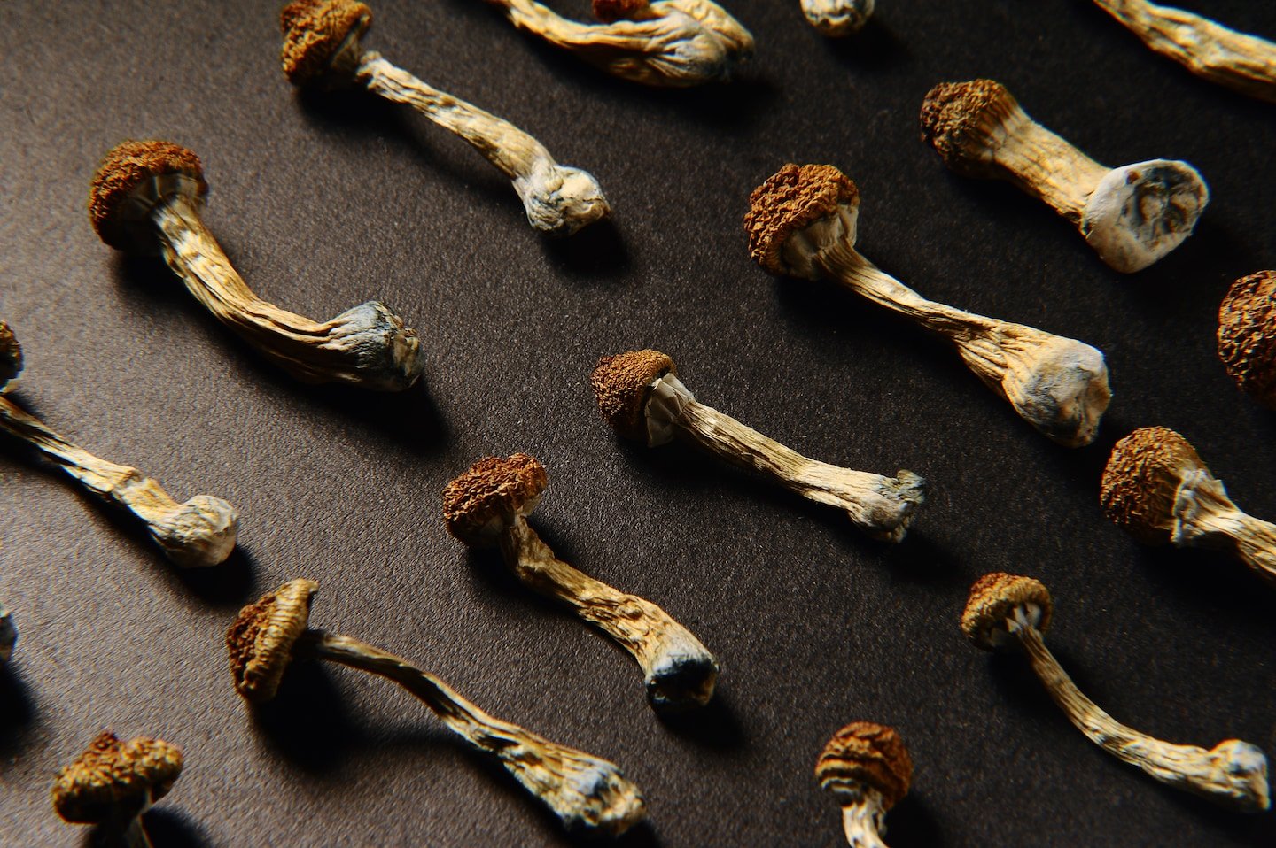 Psychedelic mushrooms for mental health in the UK, Ireland, and Europe – 2026 guide on benefits, legality, and where to buy`